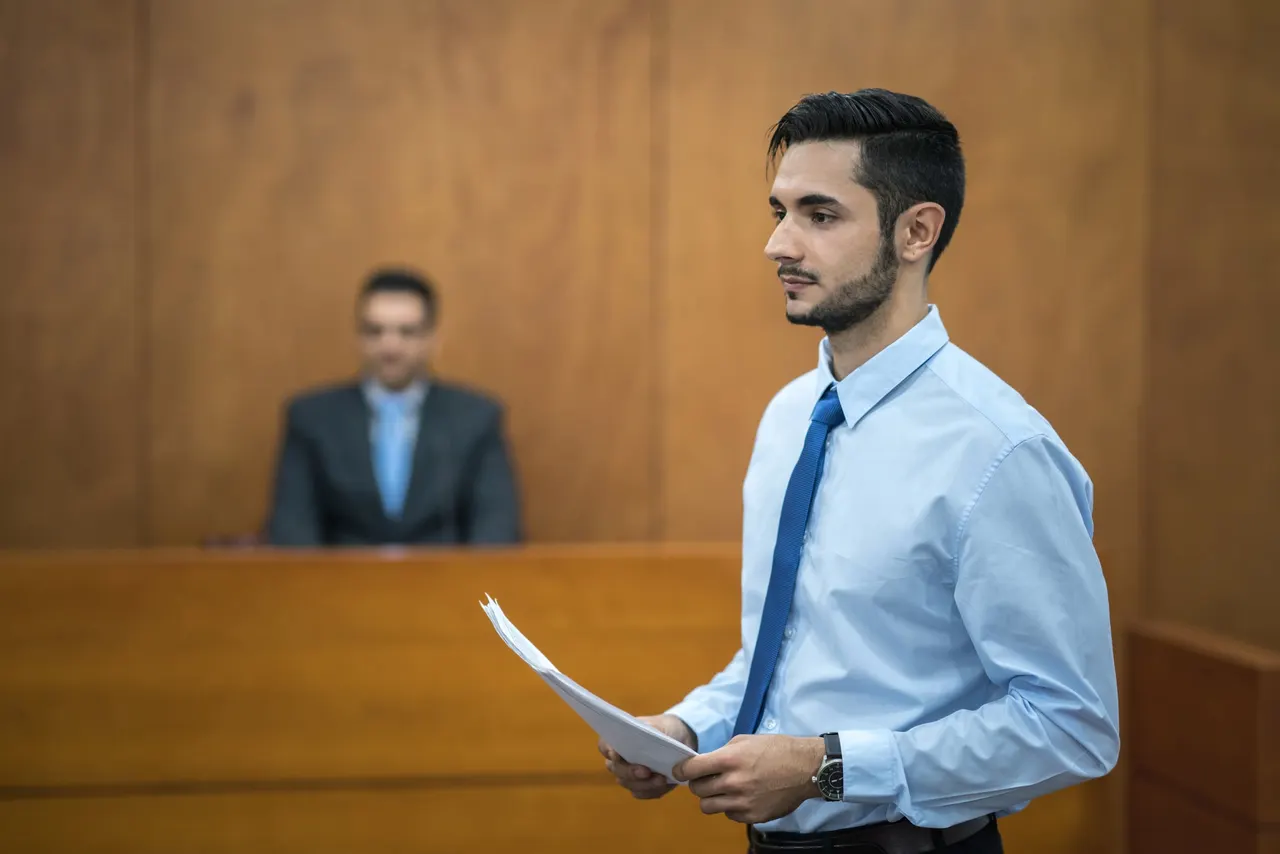 The Function and Responsibilities of State Attorneys and Prosecutors