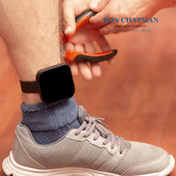 What Are Good Reasons for Early Termination of Probation in Florida?